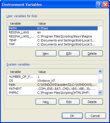 C environment variables