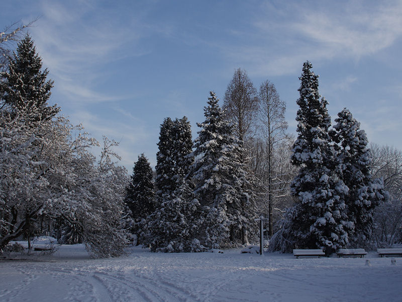 Amstelpark Amsterdam, December 20 2010, © Rob van der Woude